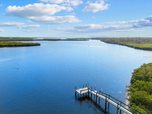 dock area with a water view