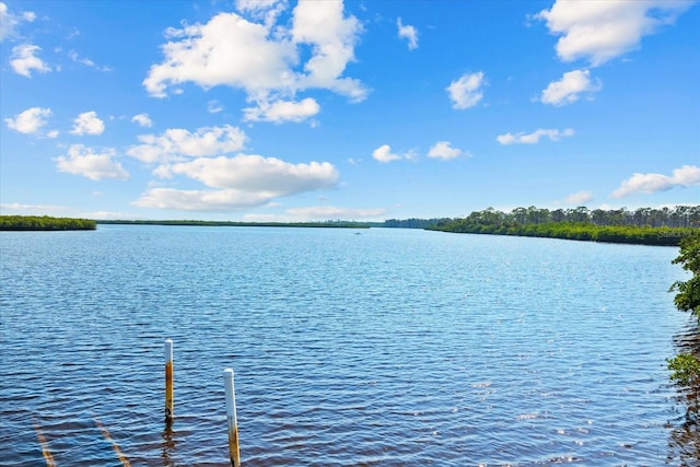 water view with a boat dock