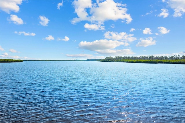 property view of water