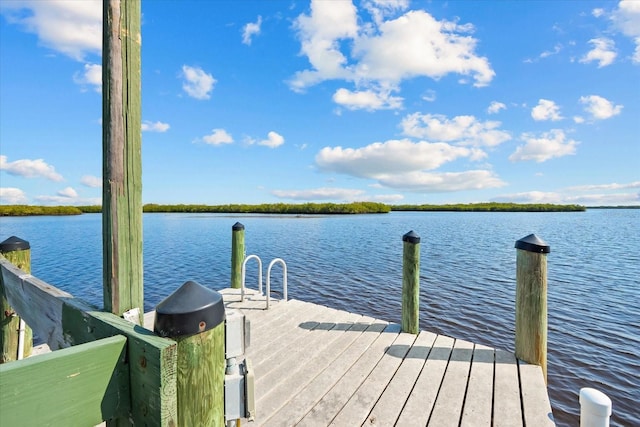 dock area featuring a water view