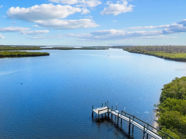 38 Riverfront Dr, Venice, FL 34293 - photo 3