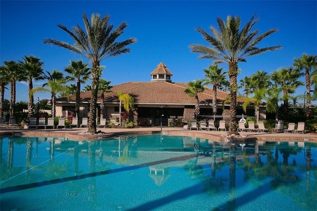 view of swimming pool