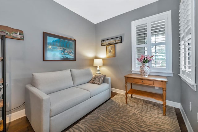 living room featuring dark hardwood / wood-style flooring