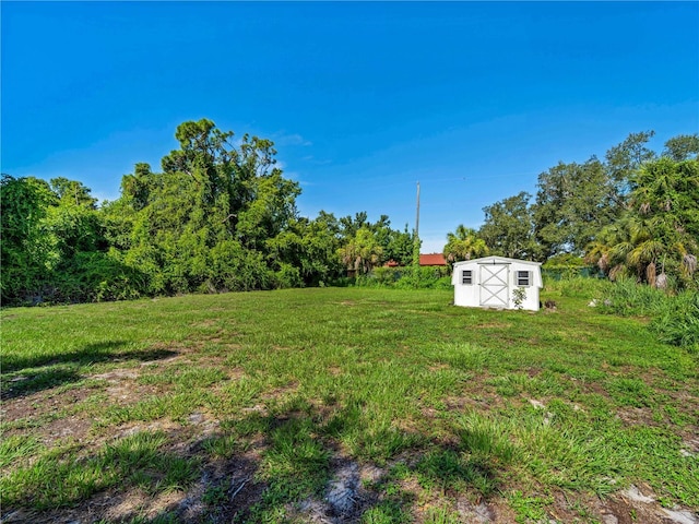 view of yard featuring a shed