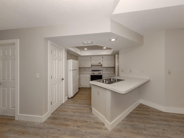 kitchen with kitchen peninsula, sink, white cabinetry, electric stove, and white fridge