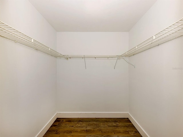 walk in closet featuring dark wood-type flooring