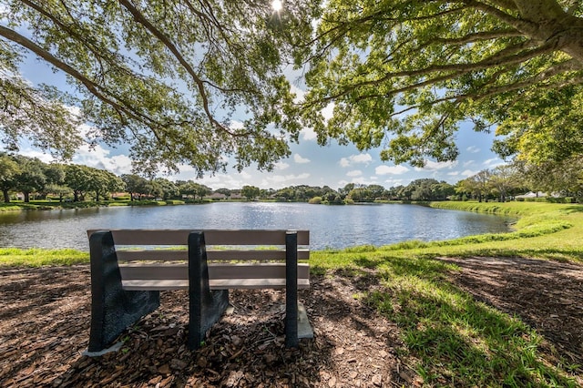 property view of water