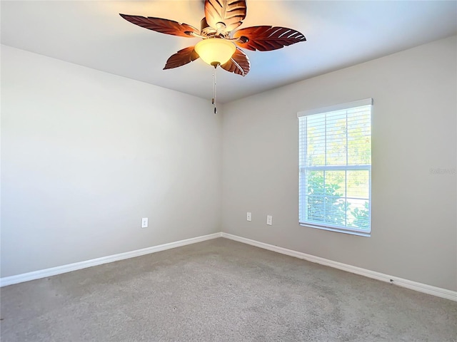 empty room with carpet floors