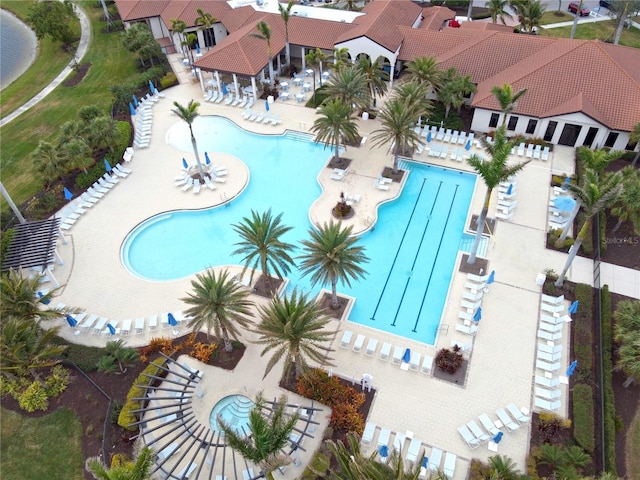 view of swimming pool with a patio area