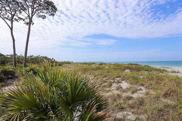 view of nature featuring a water view and a beach view