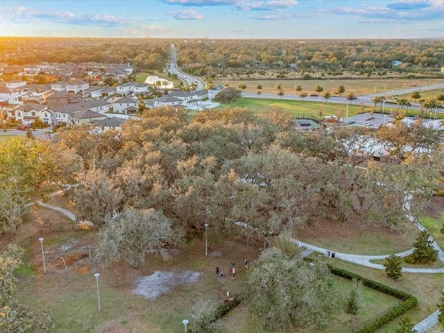 bird's eye view