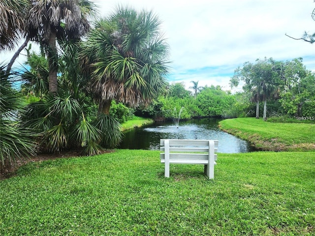 view of community featuring a yard and a water view