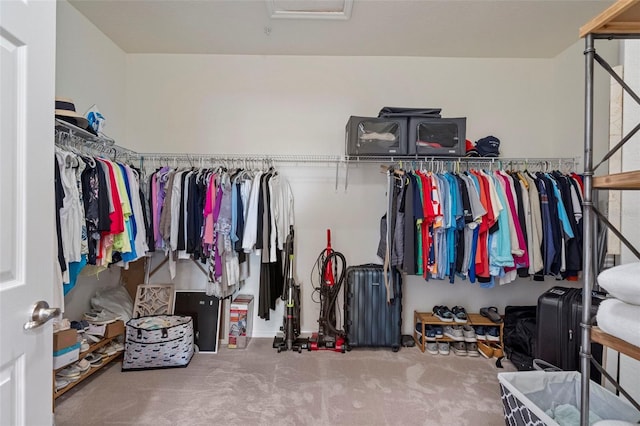 walk in closet featuring carpet