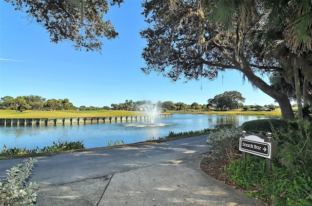 property view of water