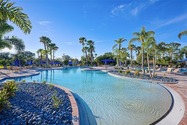 view of pool with a patio area