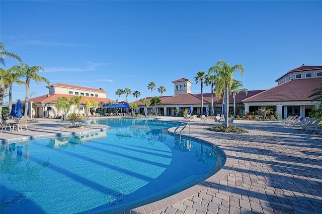 view of pool with a patio