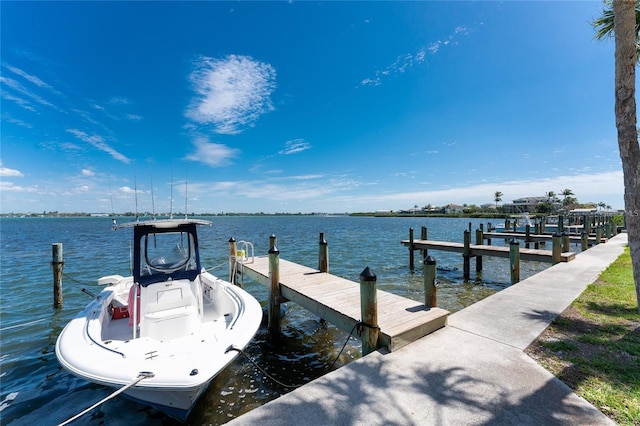 dock area with a water view