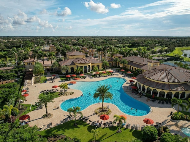 view of swimming pool with a patio area