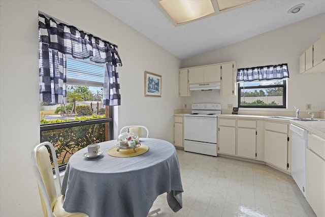 kitchen featuring lofted ceiling, a healthy amount of sunlight, sink, and white appliances