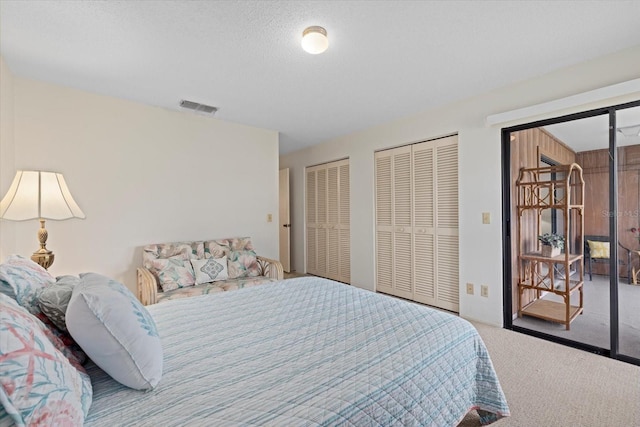 carpeted bedroom with two closets, a textured ceiling, and access to outside