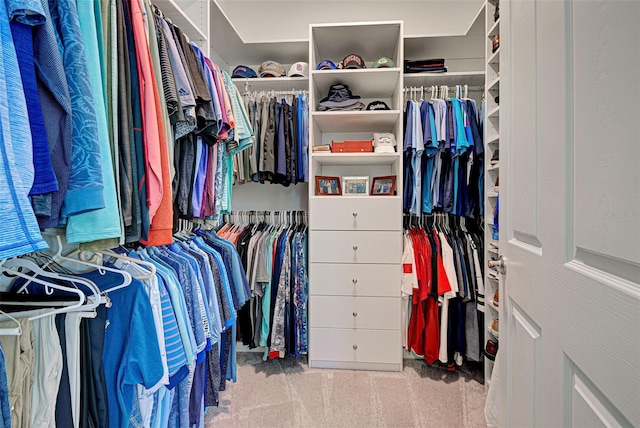 walk in closet with light colored carpet