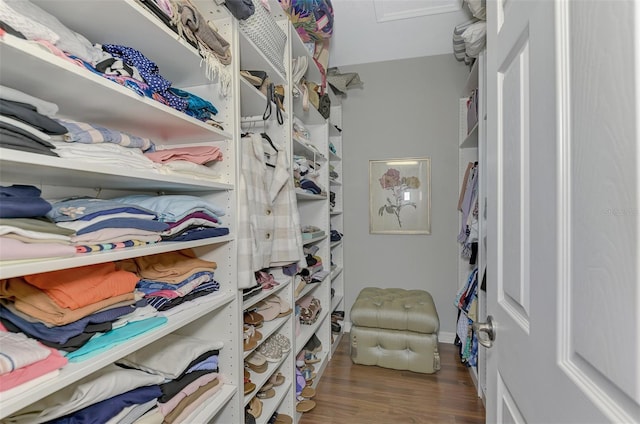 spacious closet with dark hardwood / wood-style floors