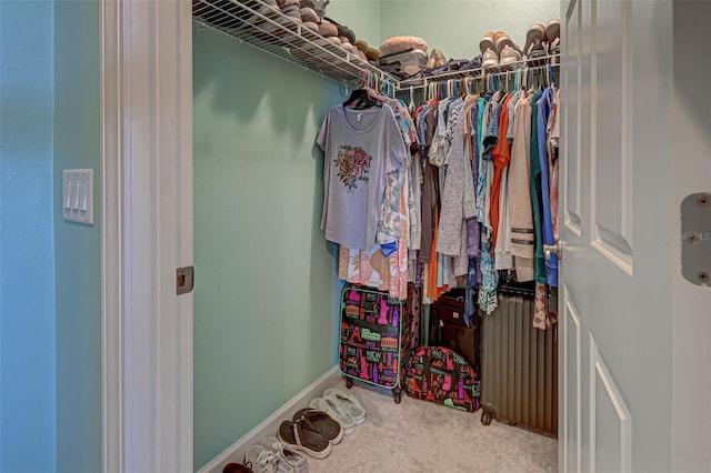 spacious closet featuring radiator and carpet flooring