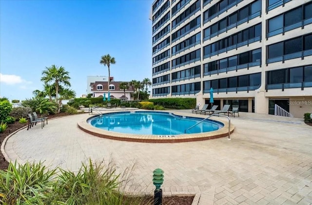 view of pool featuring a patio