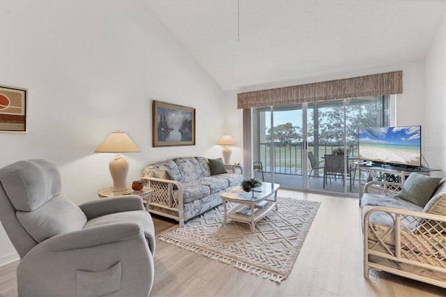 living room featuring lofted ceiling and hardwood / wood-style flooring