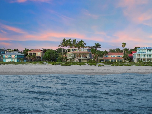 water view featuring a beach view