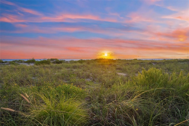 view of nature at dusk