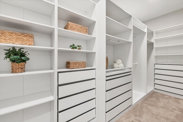 walk in closet featuring light colored carpet