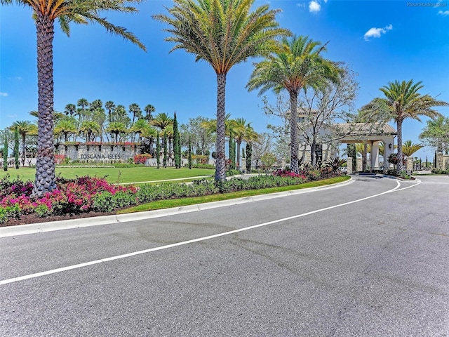 view of street with curbs