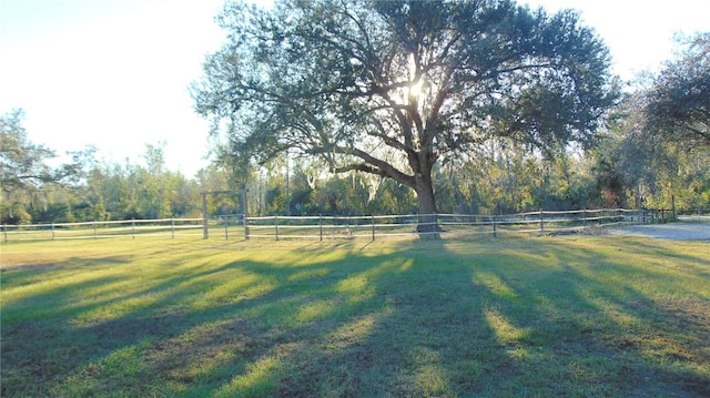 view of yard with a rural view