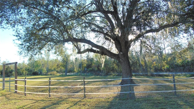 view of yard with a rural view