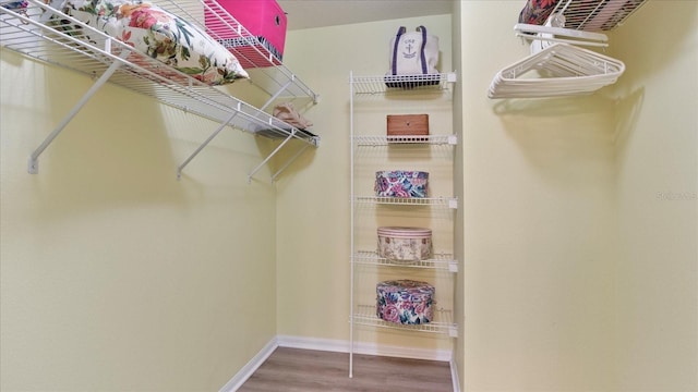 spacious closet featuring hardwood / wood-style flooring