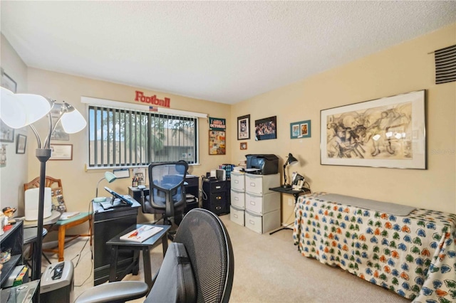 office space featuring a textured ceiling and carpet flooring