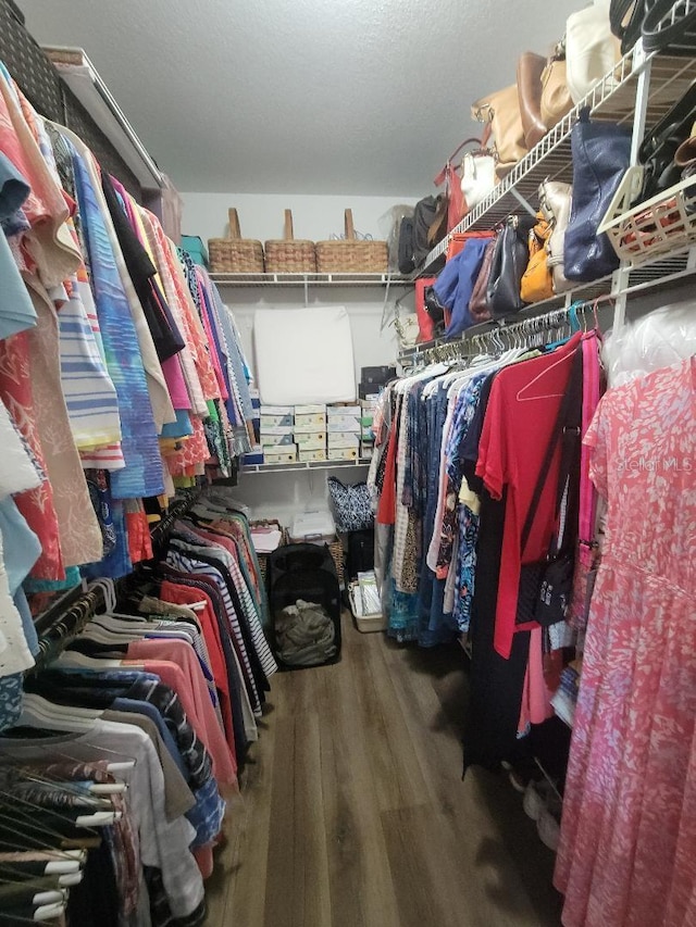 walk in closet with wood-type flooring