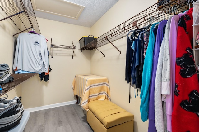 spacious closet featuring wood-type flooring