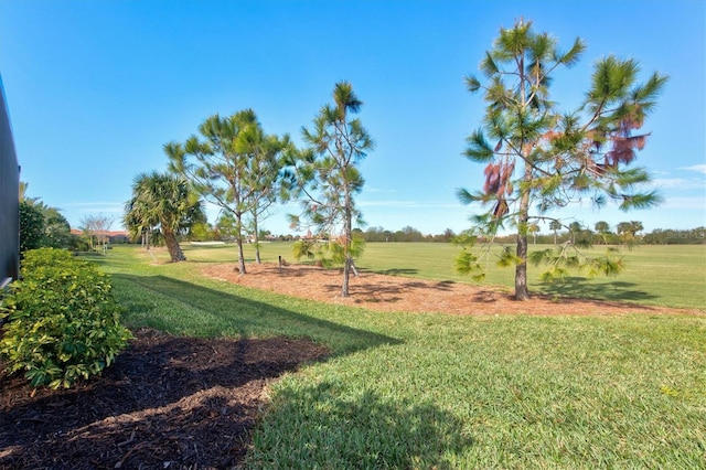 view of yard featuring a rural view