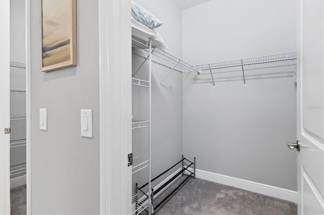 12488 Palatka Dr, Venice, FL 34293 - spacious closet featuring dark colored carpet