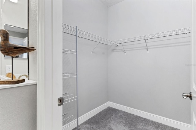 12488 Palatka Dr, Venice, FL 34293 - spacious closet with carpet