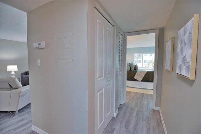 hallway with a textured ceiling, electric panel, and light hardwood / wood-style flooring