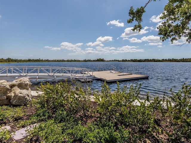 dock area featuring a water view