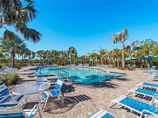 view of pool with a patio