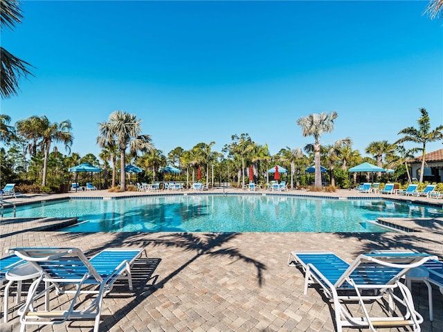 view of pool with a patio