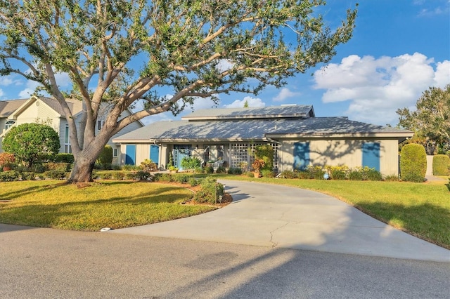 ranch-style house featuring a front yard