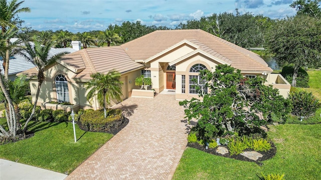 ranch-style house featuring a front lawn