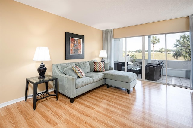 living room with light hardwood / wood-style flooring