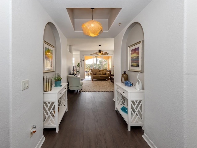 hall featuring dark hardwood / wood-style floors and a raised ceiling